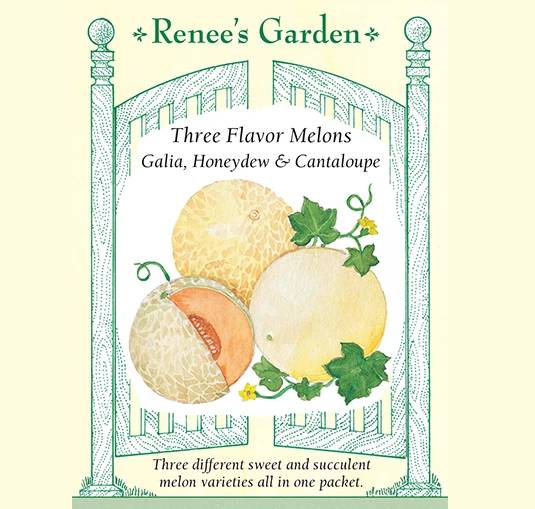 Melons Three Flavor - Renee's Garden Seeds