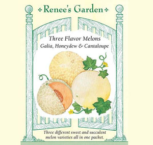 Melons Three Flavor - Renee's Garden Seeds