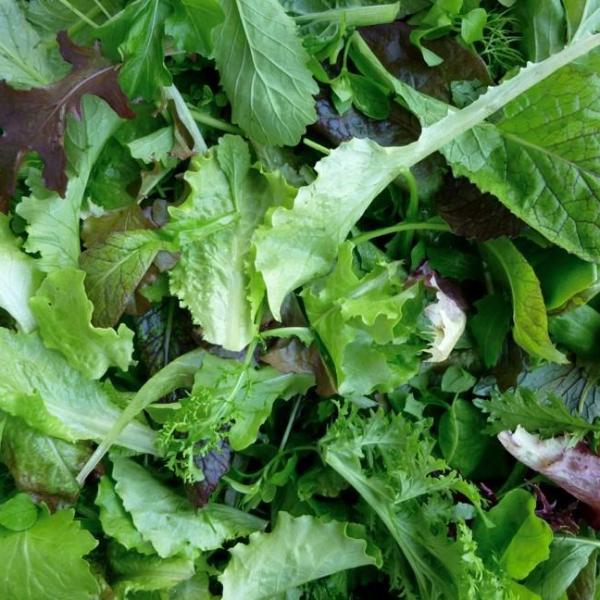 Heather's Salad Mix - Good Earth Farms