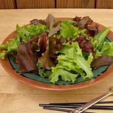 Mesclun Monet's Garden - Renee's Garden Seeds