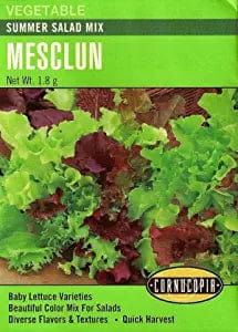 Mesclun Summer Salad - Cornucopia Seeds