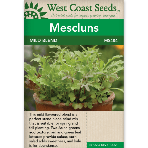 Mescluns Mild Blend - West Coast Seeds