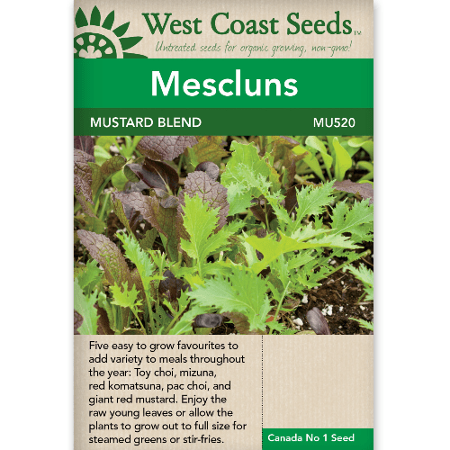 Mescluns Mustard Blend - West Coast Seeds