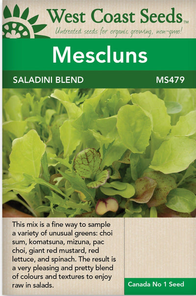 Mescluns Saladini Blend - West Coast Seeds
