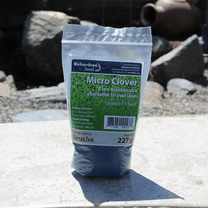 Micro Clover Lawn Alternative Seed 