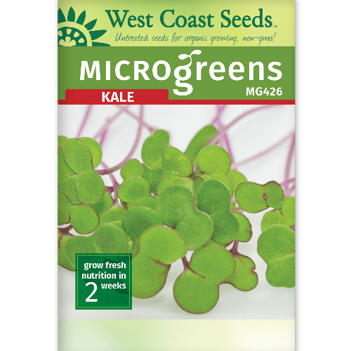 Microgreens Kale 50g - West Coast Seeds