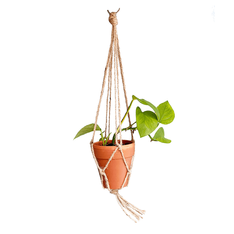 terracotta plant hanger Mini Terra Cotta Plant Hanger – Wildwood Outdoor Living