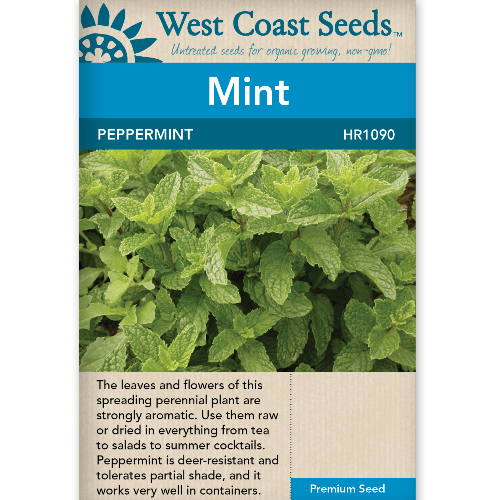 Peppermint - West Coast Seeds