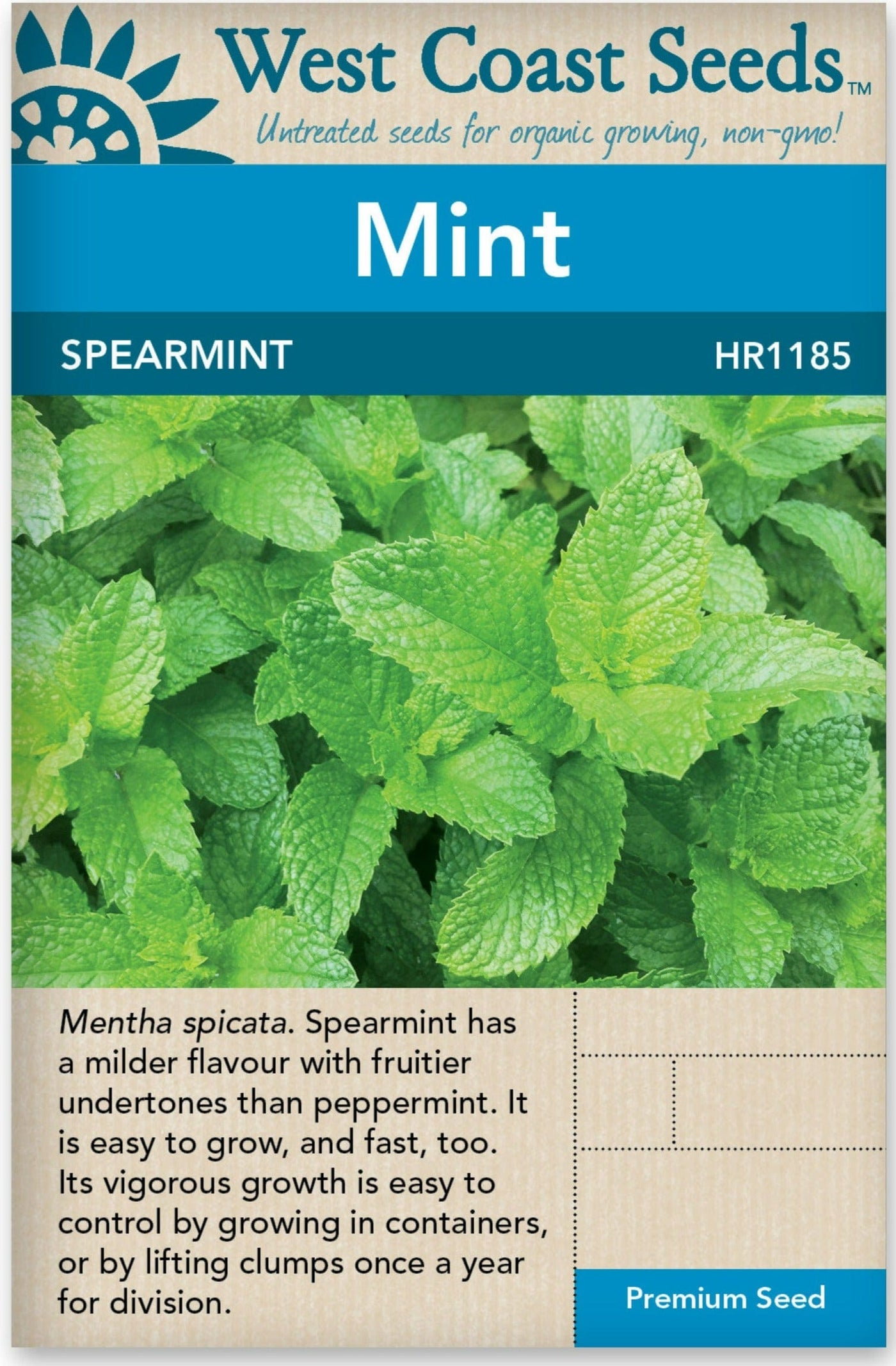 Mint Spearmint  - West Coast Seeds