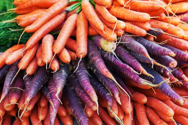 Carrot Mixed - Saanich Organics