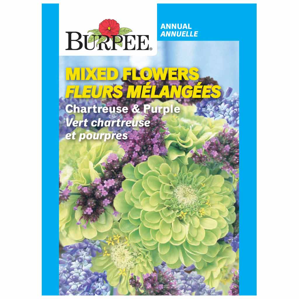 Mixed Flowers Chartreuse & Purple - Burpee Seeds