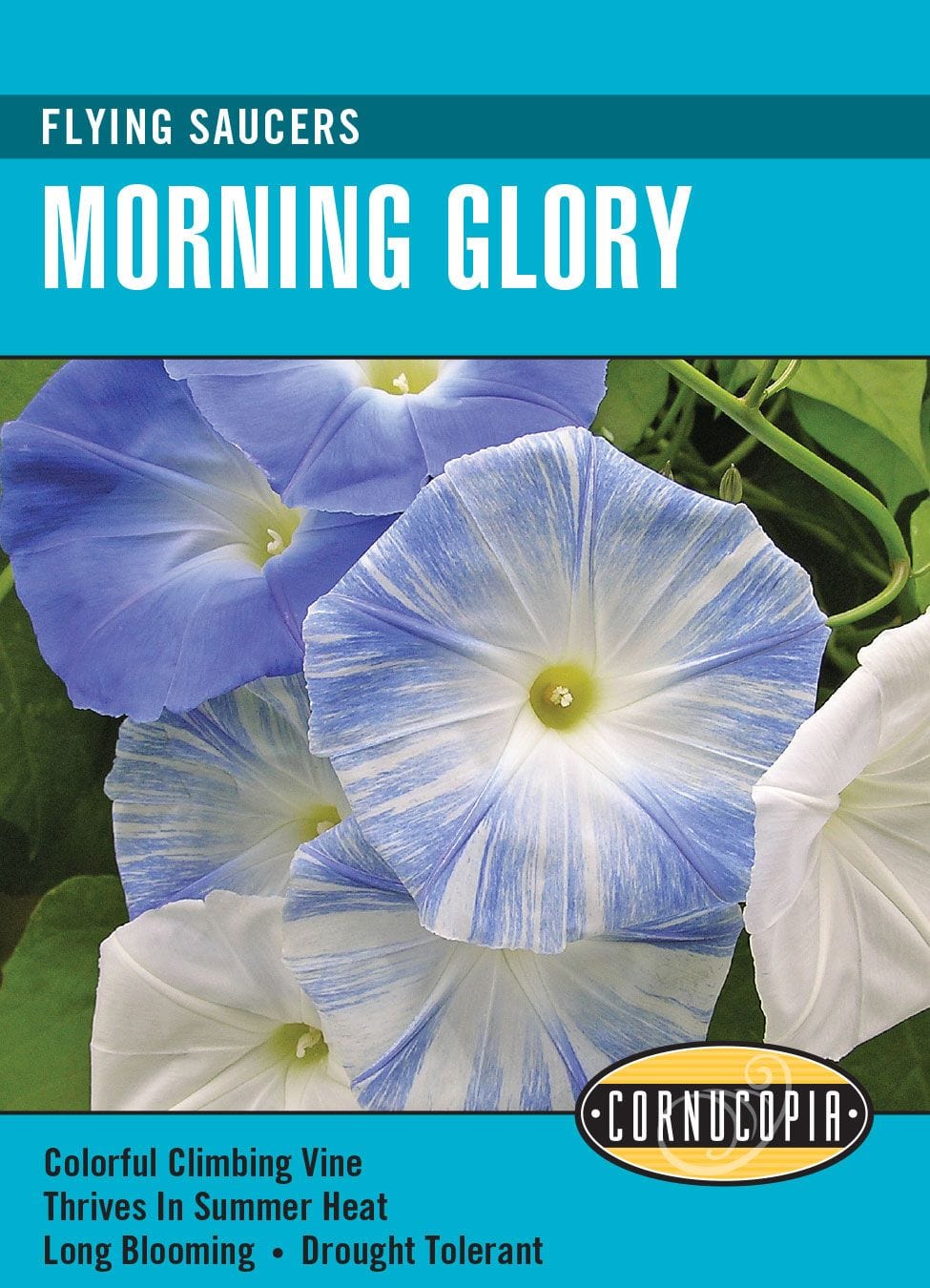 Morning Glory Flying Saucers - Cornucopia Seeds
