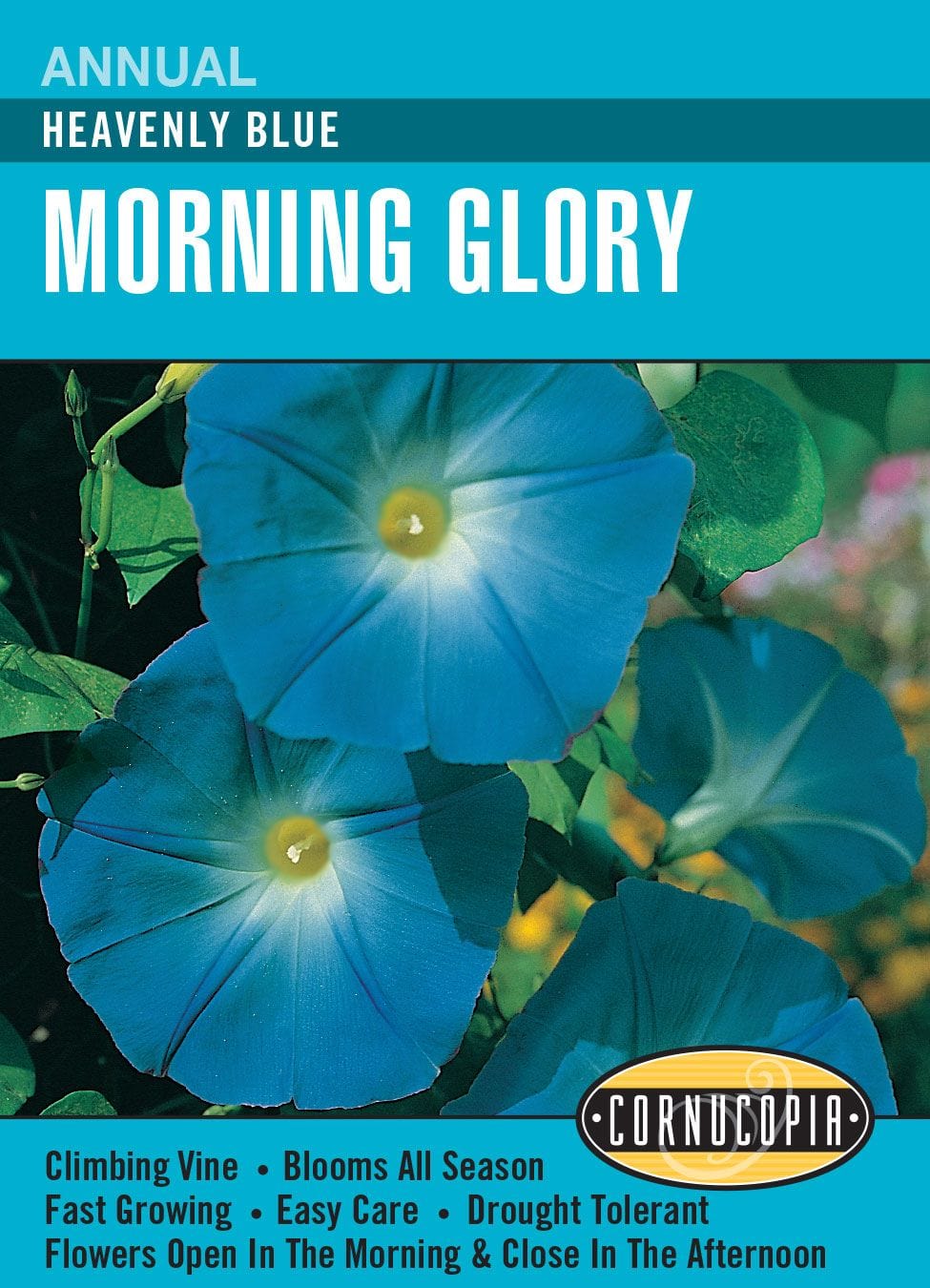 Morning Glory Heavenly Blue - Cornucopia Seeds