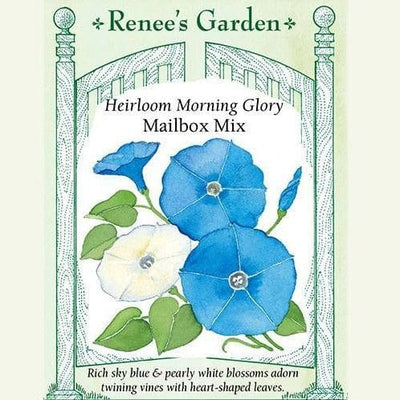 Morning Glory Mailbox Mix - Renee's Garden Seeds