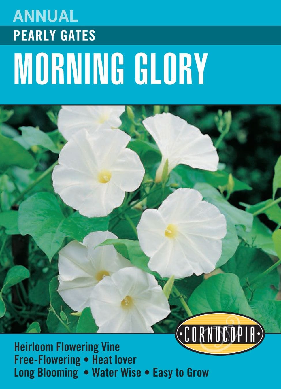 Morning Glory Pearly Gates - Cornucopia Seeds