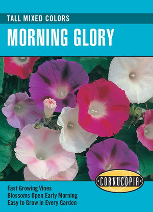 Morning Glory Tall Mixed Colours - Cornucopia Seeds