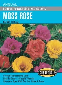 Moss Rose Double Flowered Mix (Portulaca) - Cornucopia Seeds
