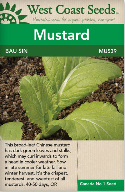 Mustard Bau Sin - West Coast Seeds