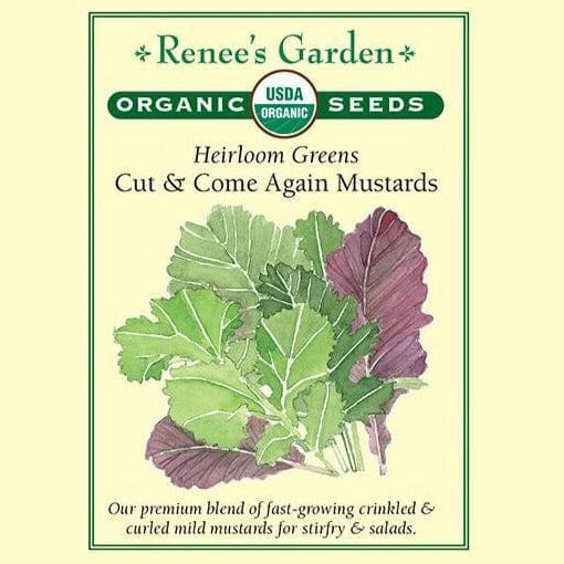 Mustard Cut & Come Again - Renee's Garden Seeds