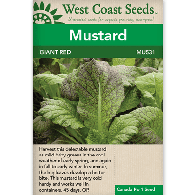 Mustard Giant Red - West Coast Seeds