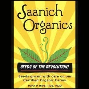 Mustard Mix - Saanich Organic Seeds