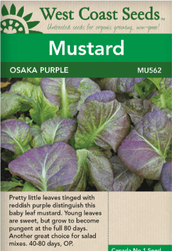 Mustard Osaka Purple - West Coast Seeds