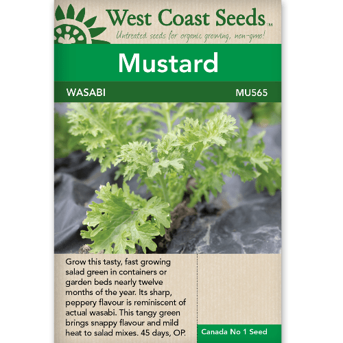 Mustard Wasabi - West Coast Seeds