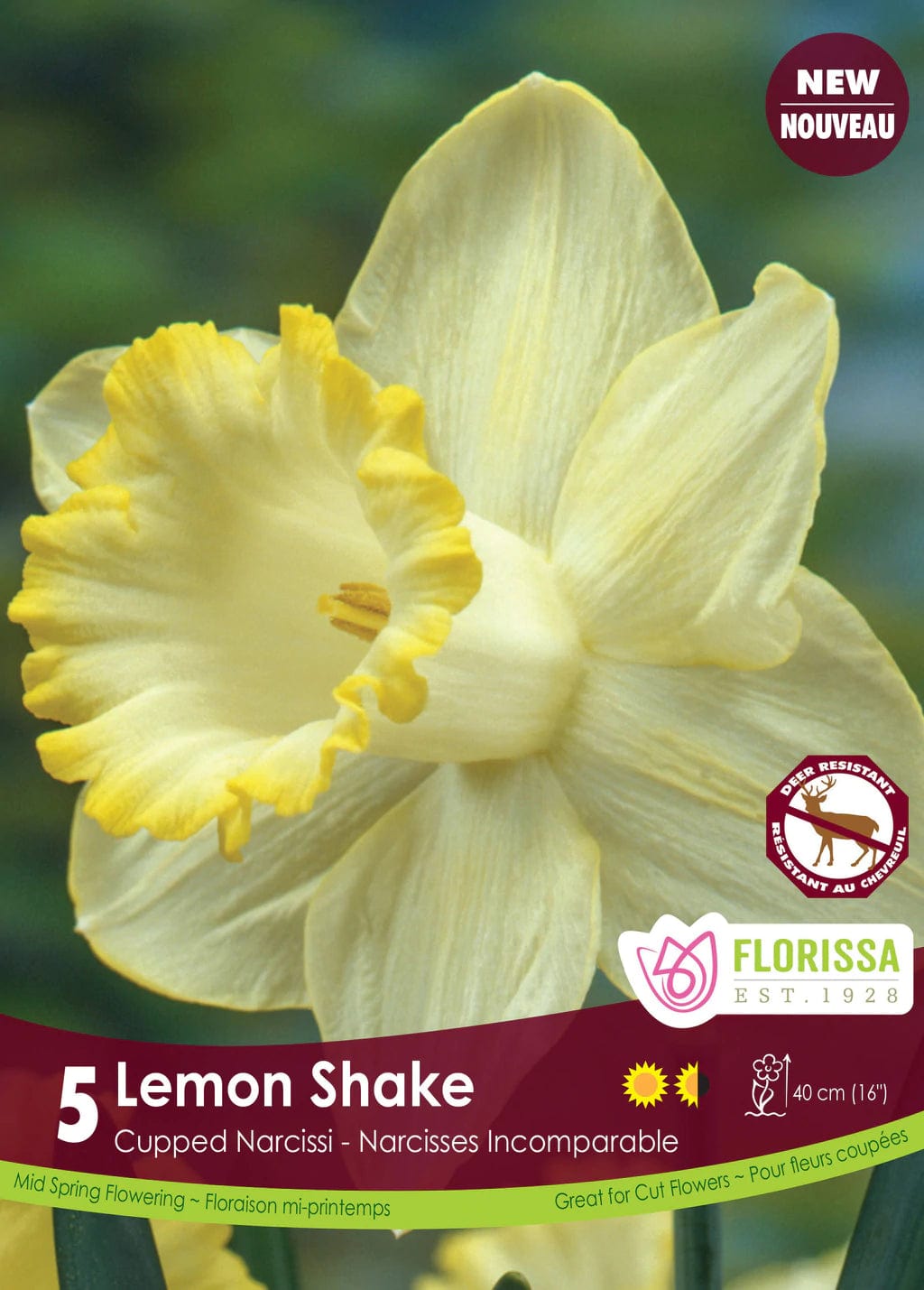 Narcissus - Lemon Shake, 5 Pack