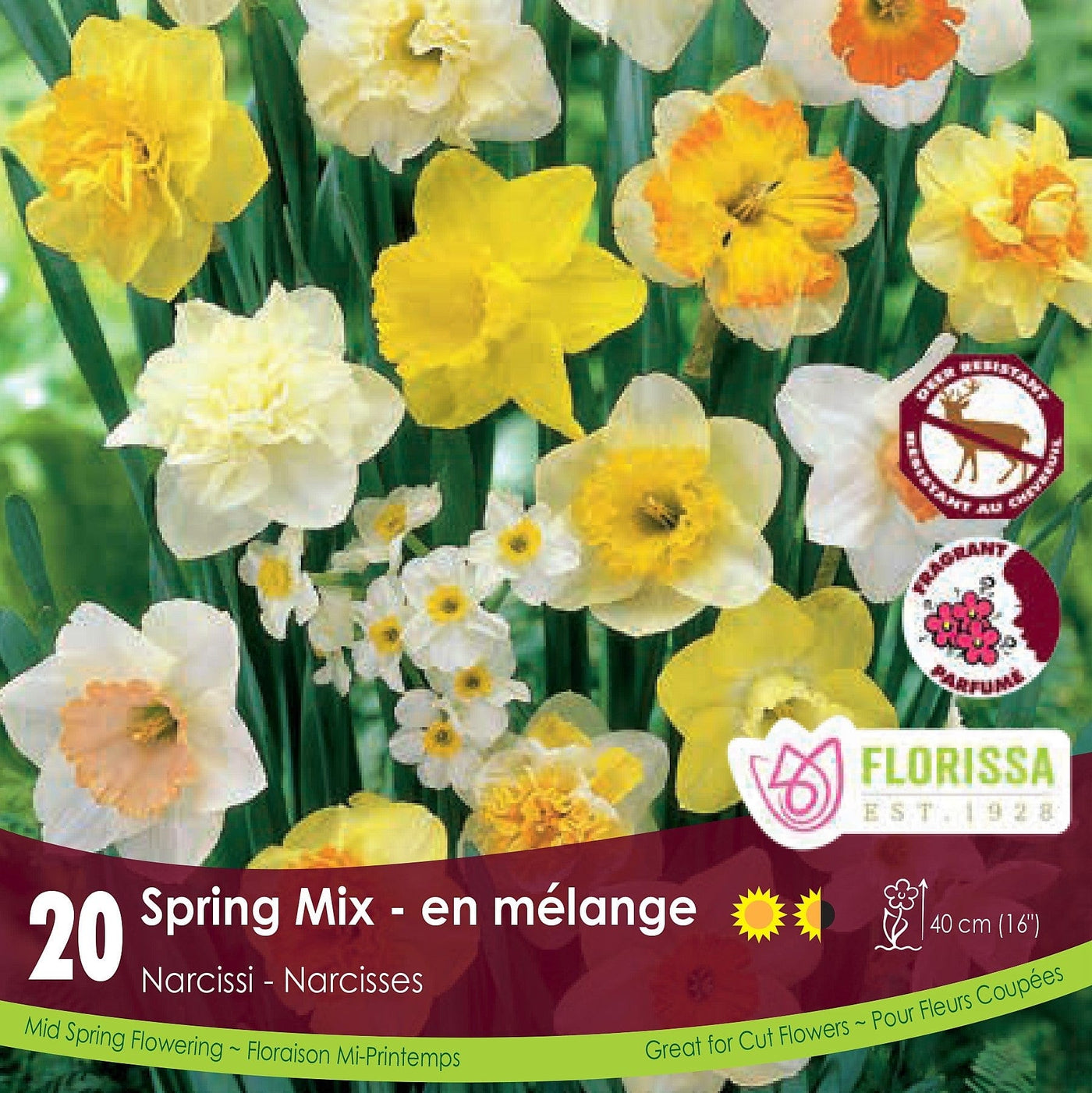 Narcissus - Spring Mix, 20 Pack