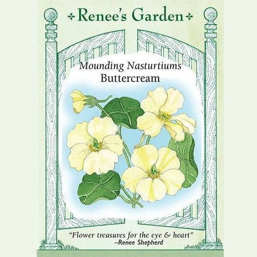 Nasturtium Buttercream - Renee's Garden Seeds