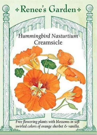 Nasturtium Creamsicle - Renee's Garden Seeds