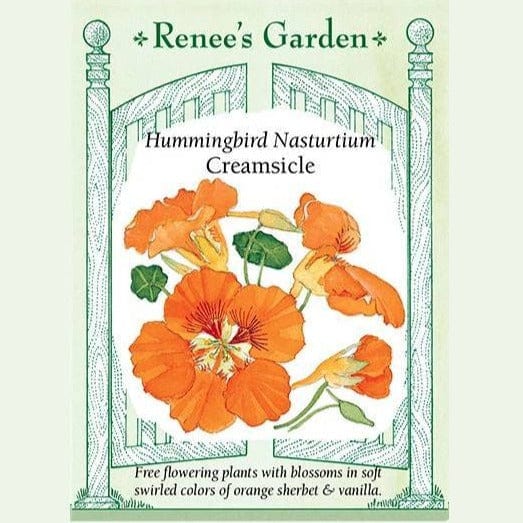 Nasturtium Creamsicle - Renee's Garden Seeds