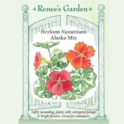 Nasturtiums Alaska Mix - Renee's Garden Seeds