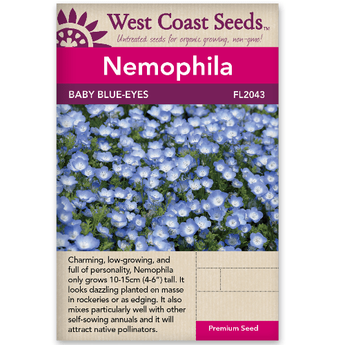 Nemophila Baby Blue Eyes - West Coast Seeds