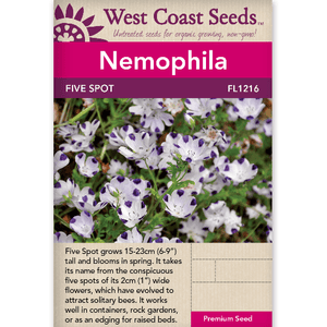 Nemophila Five Spot - West Coast Seeds