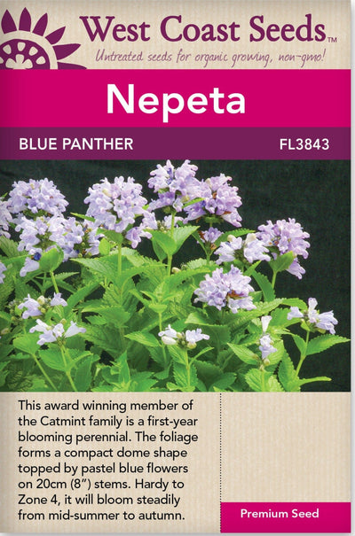 Nepeta Blue Panther - West Coast Seeds