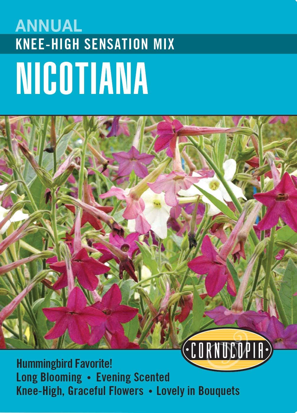 Nicotiana Sensation Mix - Cornucopia Seeds