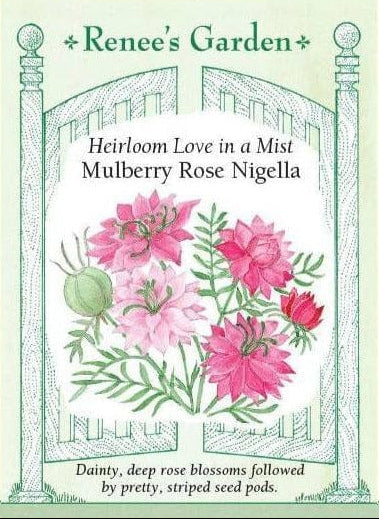 Mulberry Rose Nigella