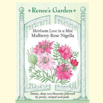 Mulberry Rose Nigella
