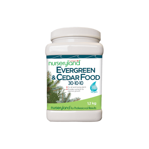Evergreen & Cedar Food 30-10-10-10 400g Fertilizer