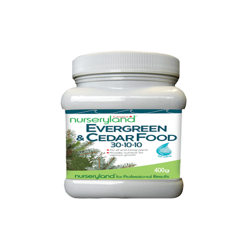 Evergreen & Cedar Food 30-10-10-10 400g Fertilizer