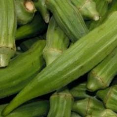 Okra Clemson Spineless - Aimer's Organic Seeds