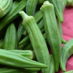 Okra Jambalaya - Renee's Garden Seeds