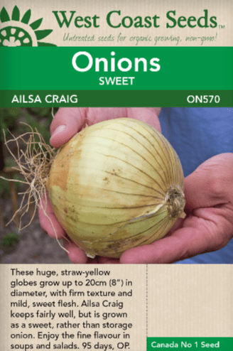 Onion Ailsa Craig - West Coast Seeds