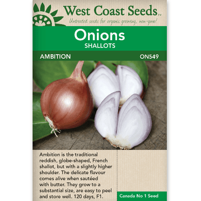 Onions Ambition - West Coast Seeds