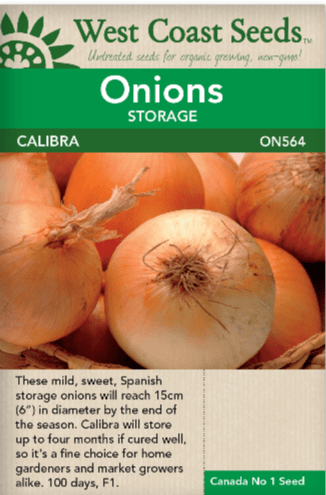 Onions Calibra - West Coast Seeds