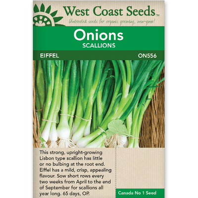Onion Eiffel - West Coast Seeds