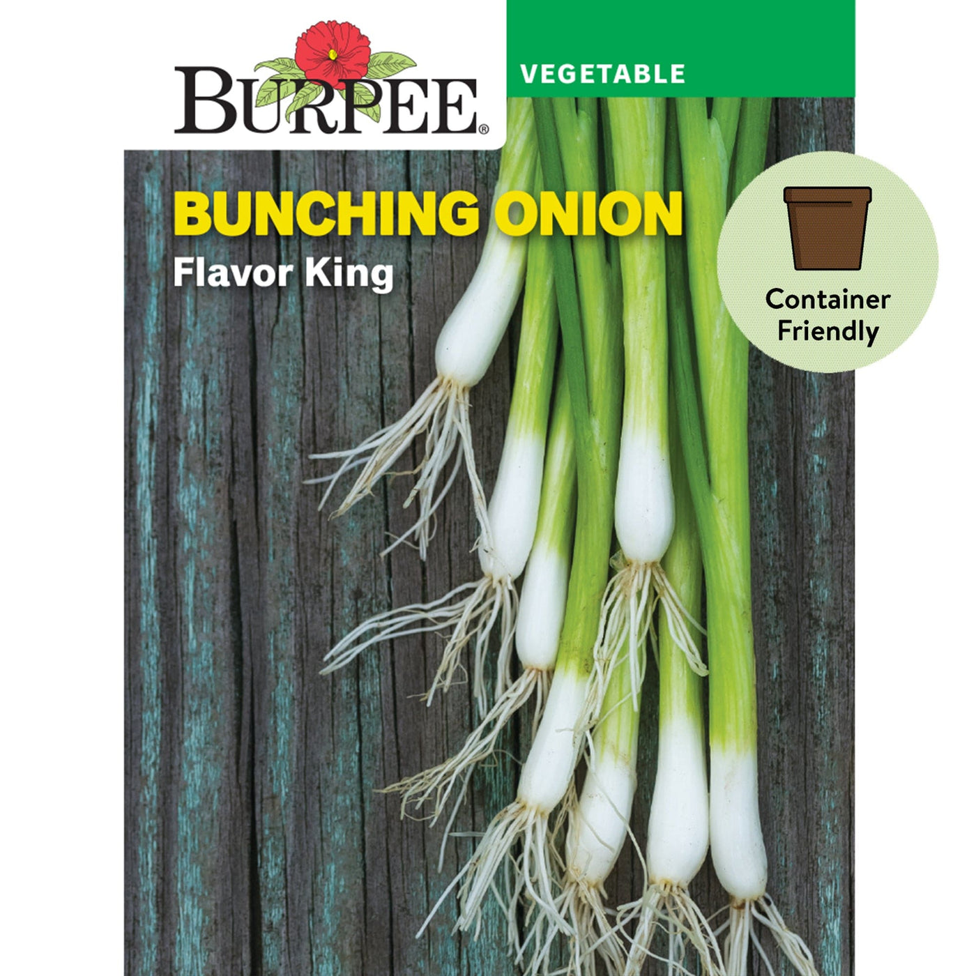 Onion Flavor King (Bunching) - Burpee Seeds