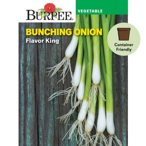 Onion Flavor King (Bunching) - Burpee Seeds