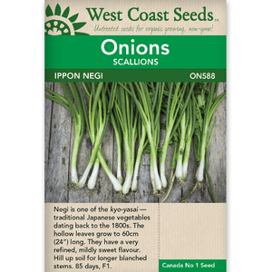 Onion Ippon Negi - West Coast Seeds